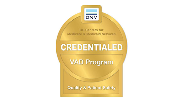DNV VAD Program Credential Logo