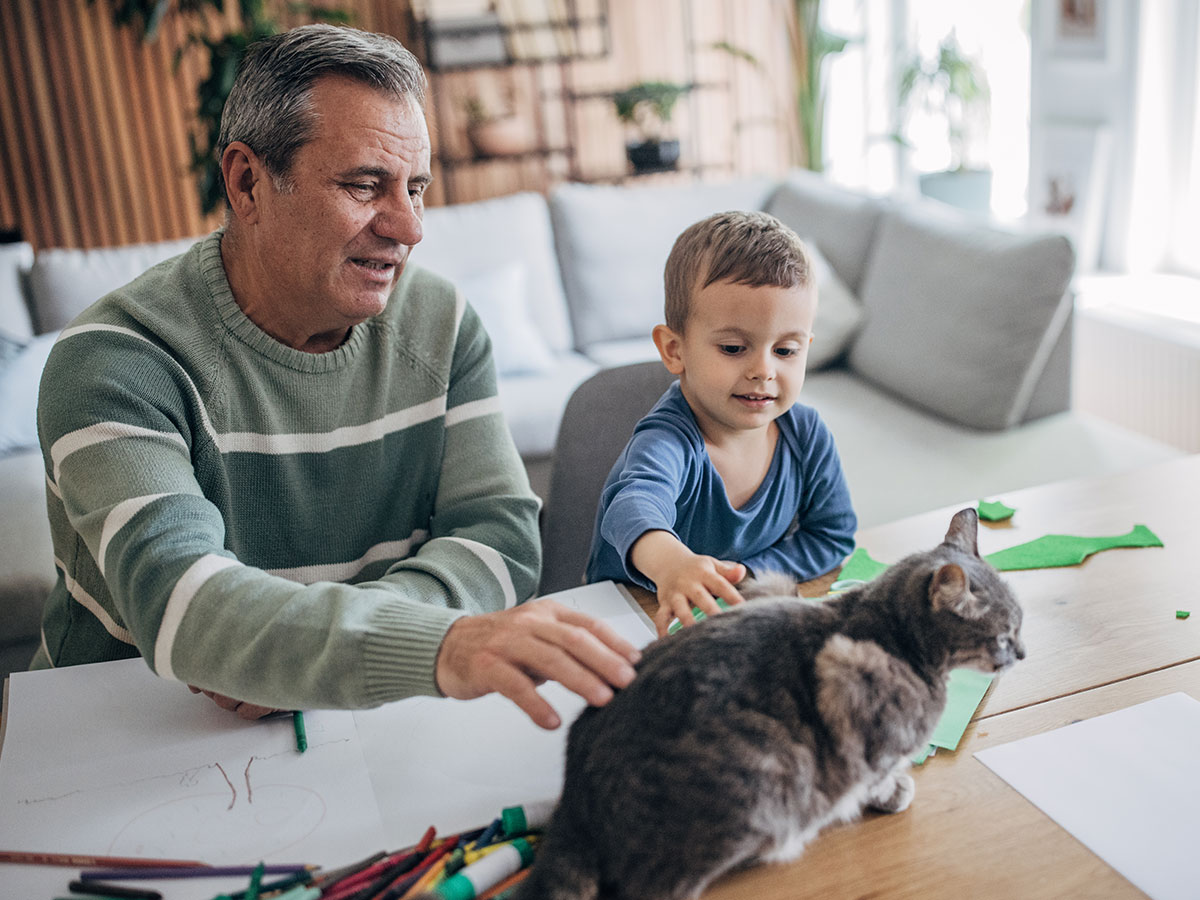 Grandfather and grandson petting a cat that is on a coffee table