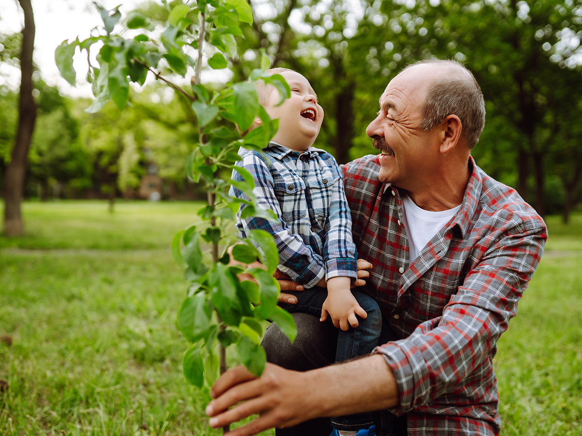 Older male carrying toddler grandson in garden